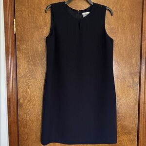 Petite Sophisticate Sleek Navy Mini Shift Dress